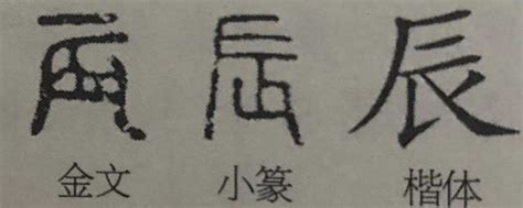 有辰的字 應爻